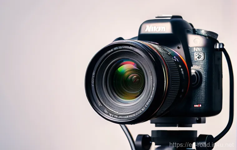 도로교통사 경력 개발을 위한 필수 사항 이미지 2